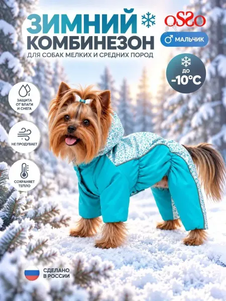 OSSO-fashion Комбинезон для собак мелких пород мальчик весна
