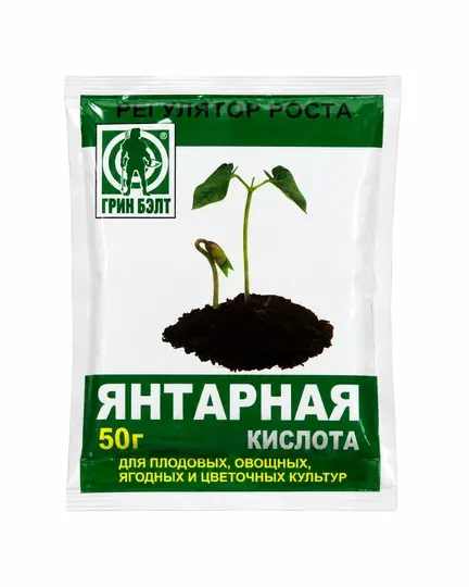 Янтарная кислота - Защита от болезней