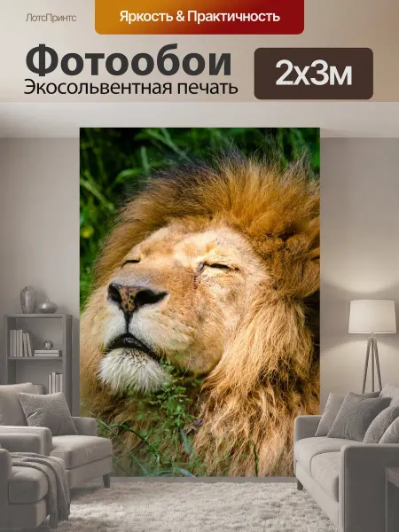 LotsPrints Фотообои "Африканский лев, Портрет, Nap Обои, фон." 2x3м