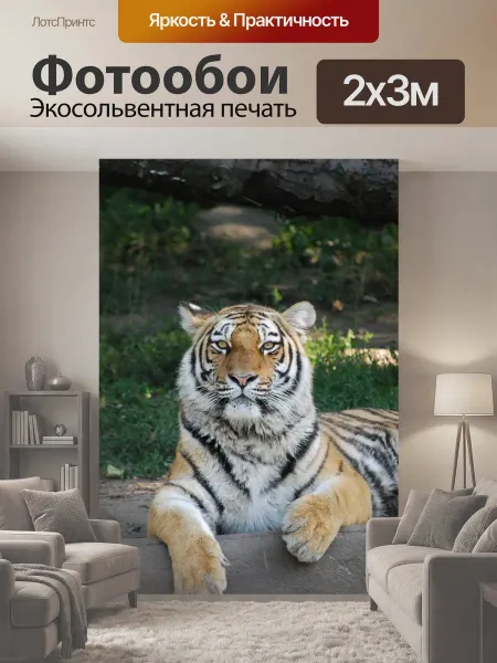 LotsPrints Фотообои "Тигр, опасный, хищник" 2x3м