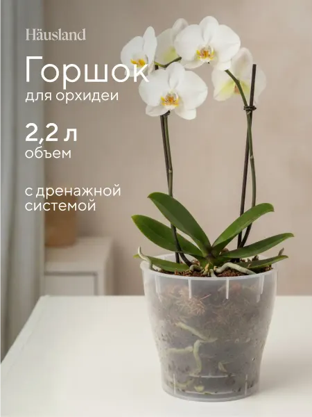 Hausland Home Горшок для цветов орхидей пластиковый 2,2 литра