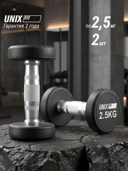 Unix Fit Гантель ПРО круглая обрезиненная 2,5 кг для фитнеса, 2 шт
