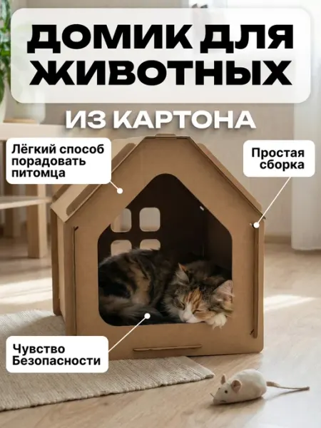 Калейдоскоп78 Домик для кошек картонный, лежанка для животных. Коробка