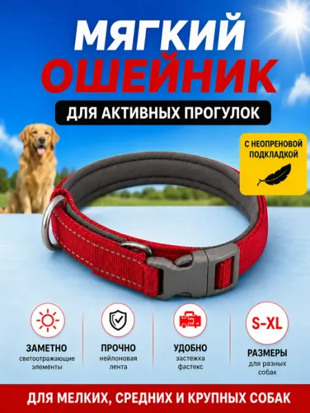 Тутси Ошейник нейлон светоотражающий с неопреновой подкладкой