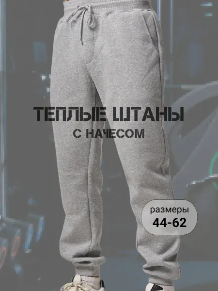 AM-ME Штаны спортивные теплые с начесом