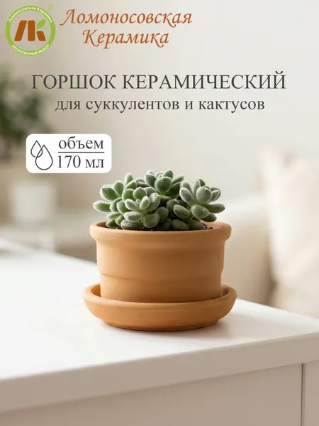 Горшок для цветов "Риф терракота" 170 мл, d9см, керамика, неглазурованный