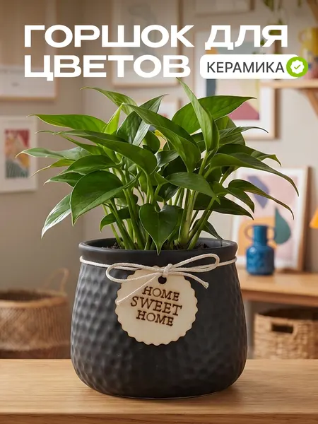 Горшок декоративный для цветов "Home sweet home" серый, керамика, кашпо для растений, суккулентов и кактусов, для дома