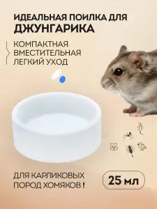 Поилка для Джунгарского хомяка, миска для грызунов
