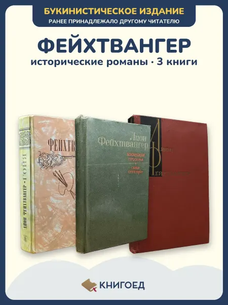 Книгоед Фейхтвангер Гойя исторический роман 3 книги