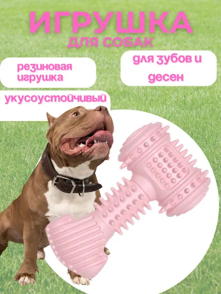 Q Игрушка грызунок для собак для зубов и десен