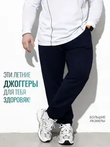 Брюки джоггеры MR. BIGMAN Коллекция MB больших размеров