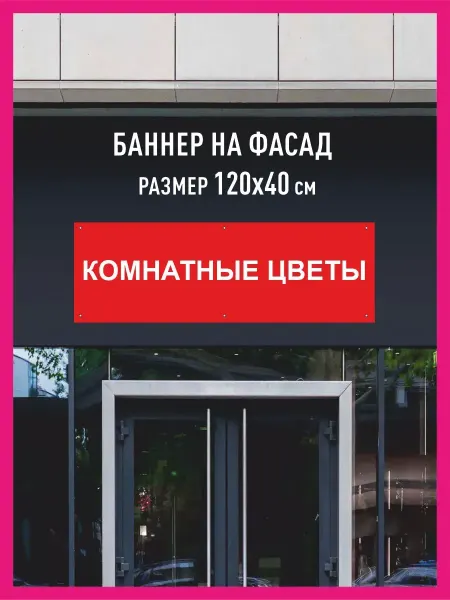 Принтятина баннеры Баннер растяжка Комнатные цветы горизонтальный 120х40