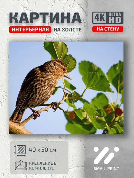 Jz Like Картина на стену Животные птичка ветка bird branch