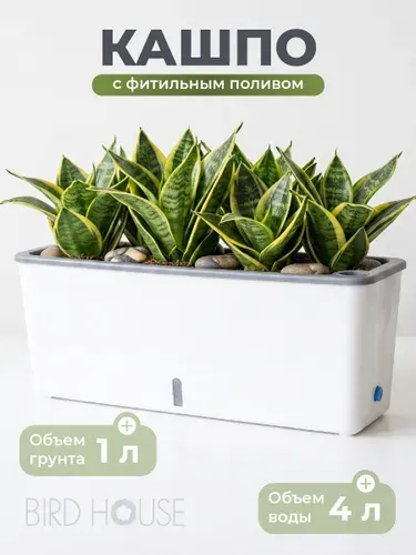 Горшок для цветов длинный с фитильным автополивом Birdhouse, 4л