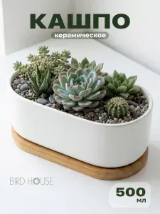 Birdhouse Кашпо керамическое для цветов суккулентов и кактусов