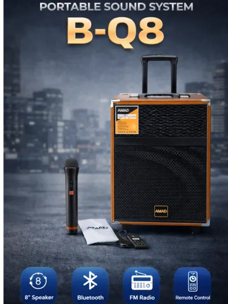 Портативная колонка BQ8 с Bluetooth, FM радио, микрофоном и пультом