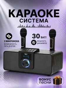 Караоке система деревянная с двумя микрофонами Kei K-08 беспроводная Bluetooth колонка черная