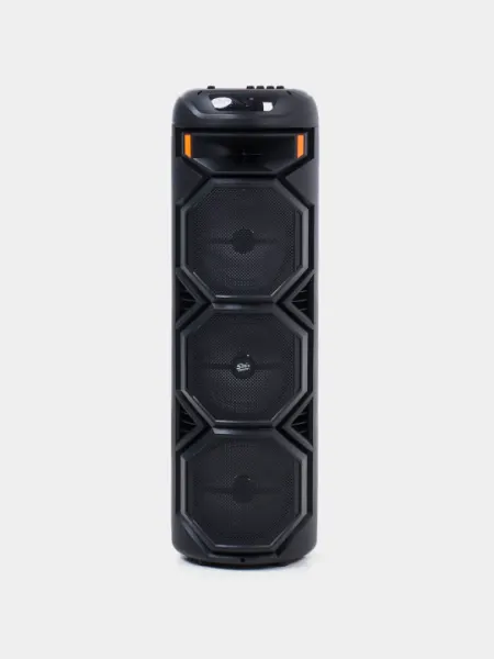 Караоке колонка Sing-e ZQS-8221, ZQS-8301, ZQS-8302, ZQS-8220S, Bluetooth, RGB, с микрофоном и пультом