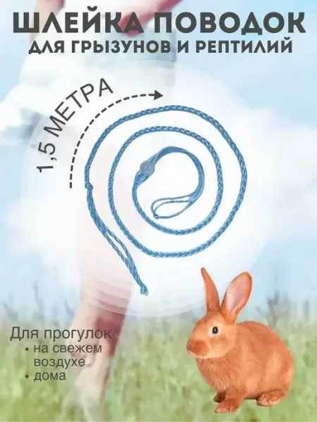 BOB_PETS Шлейка поводок для грызунов крыс морских свинок хомяков дегу