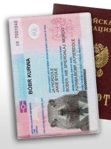 Обложка на паспорт с приколом мем Бобр Bobr kurwa