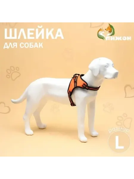 Безопасная мягкая шлейка для активных питомцев