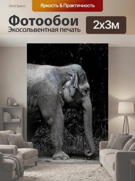LotsPrints Фотообои "Слон, африка, сафари" 2x3м