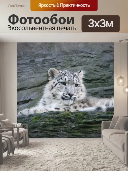 LotsPrints Фотообои "Снежный барс, животные, природа" 3x3м