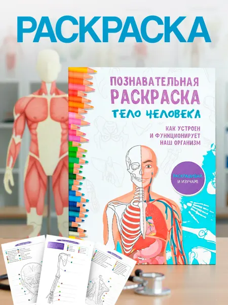 True Books Space Антистресс раскраска Тело человека анатомия детям и взрослым