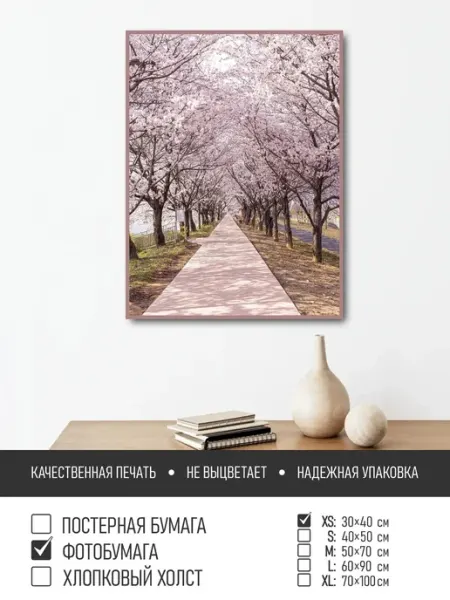 ПолиЦентр Постер на фотобумаге Цветущая сакура, 30х40 см