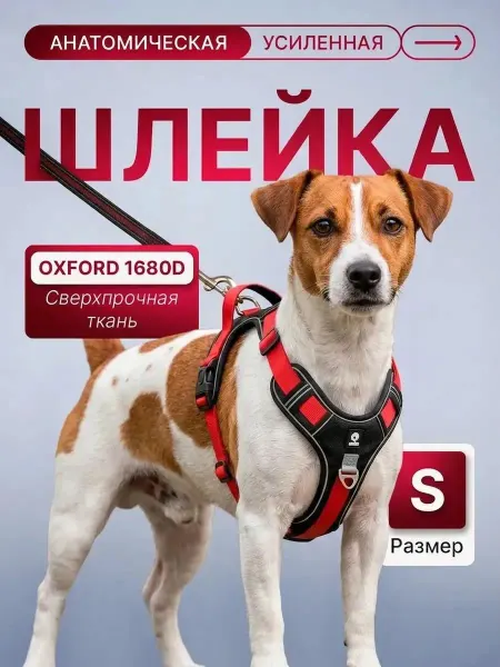 KADY Шлейка для собак мелких пород анатомическая без поводка