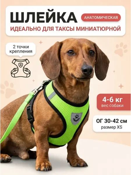 Шлейка с поводком светоотражающая для миниатюрной таксы