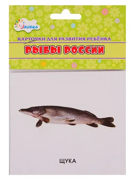 Книжный дом РФ Карточки для развития ребенка "Рыбы России"