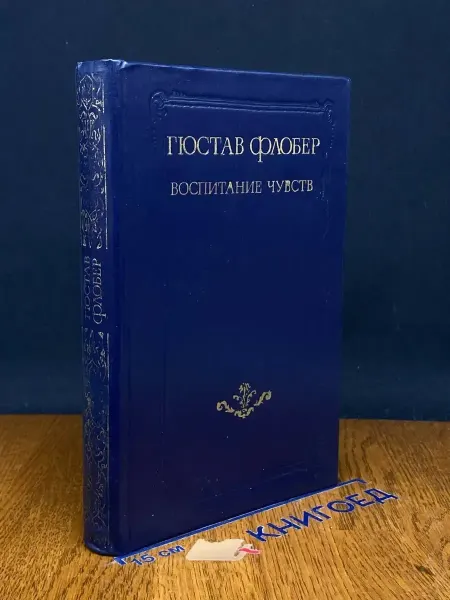 Художественная литература Воспитание чувств — классический роман, Флобер