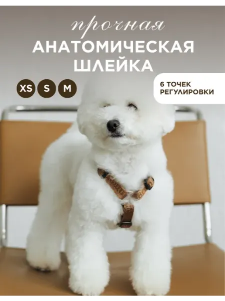 Branmerlе Анатомическая шлейка для собак и щенков
