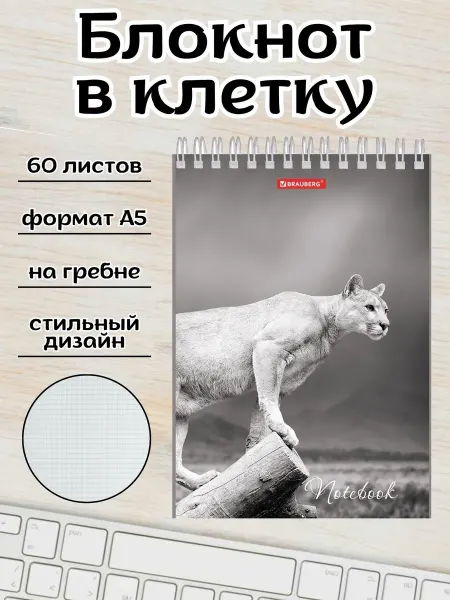 Brauberg Блокнот для записей в клетку на пружине А5