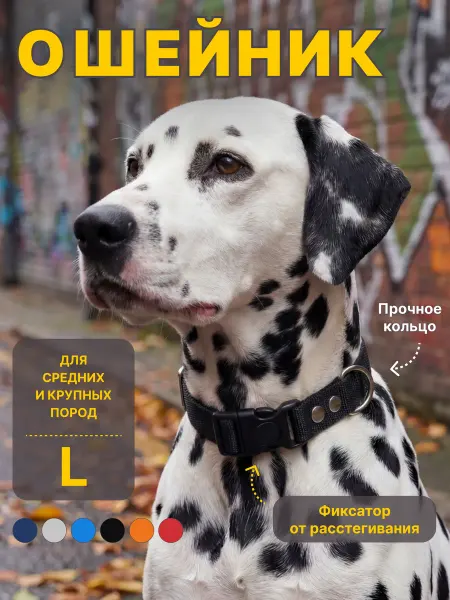 RICH BREED Ошейник для собак средних и крупных пород повседневный