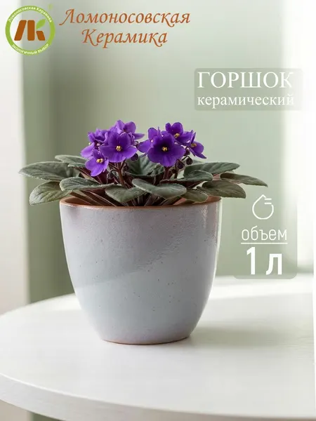 Горшок "ColorLife", для цветов, керамика, d14 см, h12 см, 1 л
