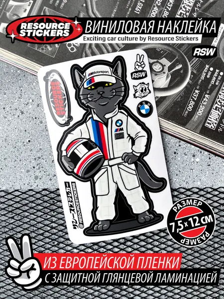 Наклейка Кот в гоночном комбинезоне BMW 7.5x12