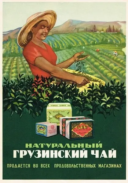 Советский плакат, постер на бумаге Реклама грузинского чая. Размер 21 на 30см