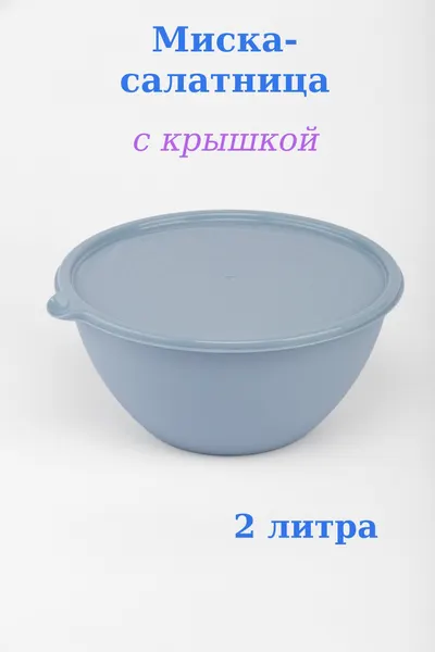Миска "Риччи" пластиковая с крышкой 2 л.