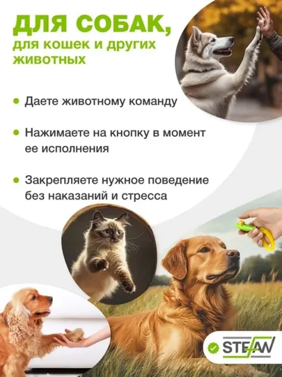 Кликер для дрессировки собак на браслете зеленый aesthetics (эстетика) - Товары для дрессировки собак