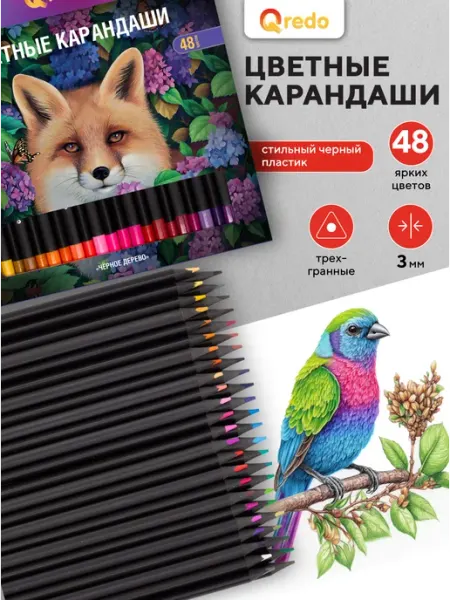 Цветные карандаши трехгранные, 48 штук QREDO