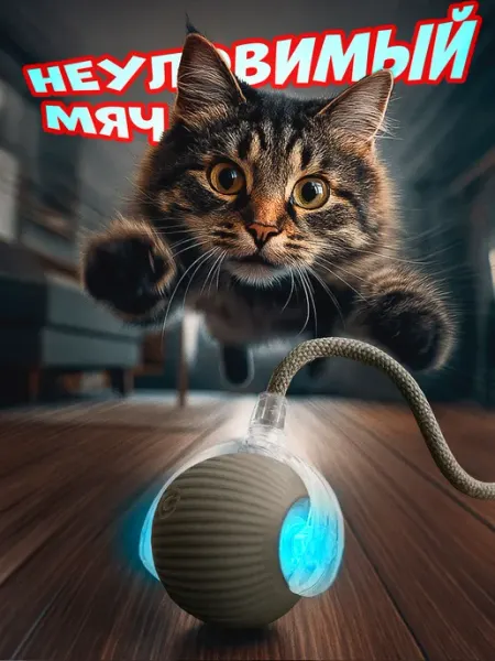 Интерактивный кошачий игрушка и умный мяч для дразня DYH-coco