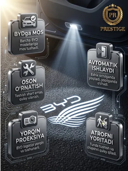 Светодиодная LED подсветка в двери для всех автомобилей BYD, проектор логотипа