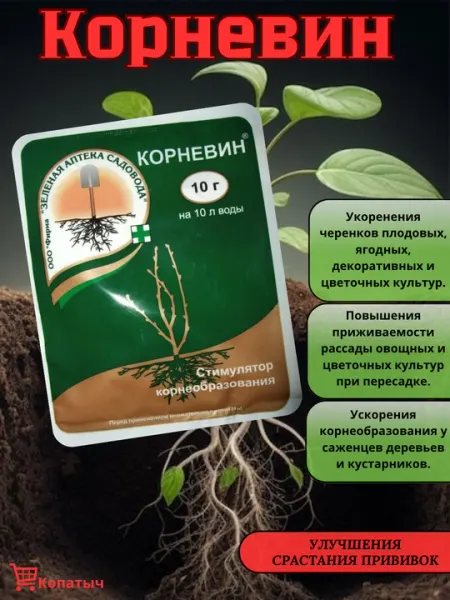 Корневин - cтимулятор корнеобразования растений