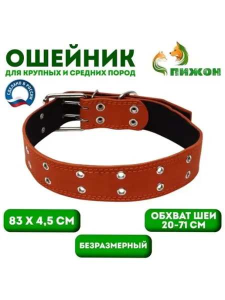Яркий кожаный ошейник для активных собак