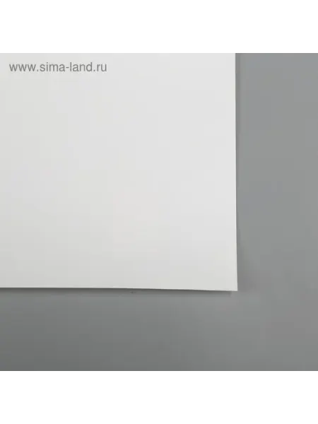 Портретный фотофон из пластика белого цвета 70х140 см