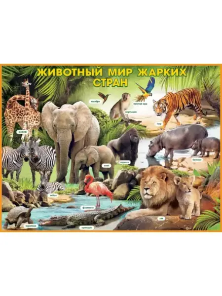 ФДА.card Плакат "Животный мир жарких стран"