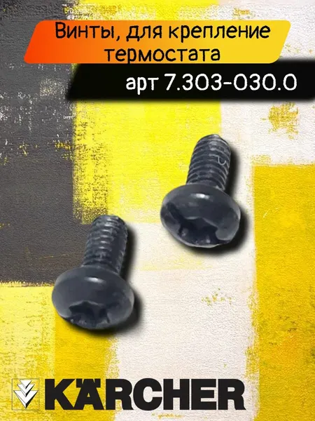 Винты, для крепление термостата (6.630-649.0) на пароочиститель Karcher, артикул 7.303-030.0