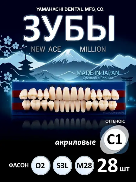 Зубы акриловые, вариант исполнения: NewАсе -двухслойные, Anterior фронтальные верх фасон O2, низ ф. S3L, Million - однослойные, Posterior (фас. M28,) цвет C1; полный гарнитур 28 шт. на планках.